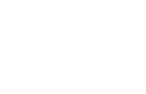 ZAP Logo