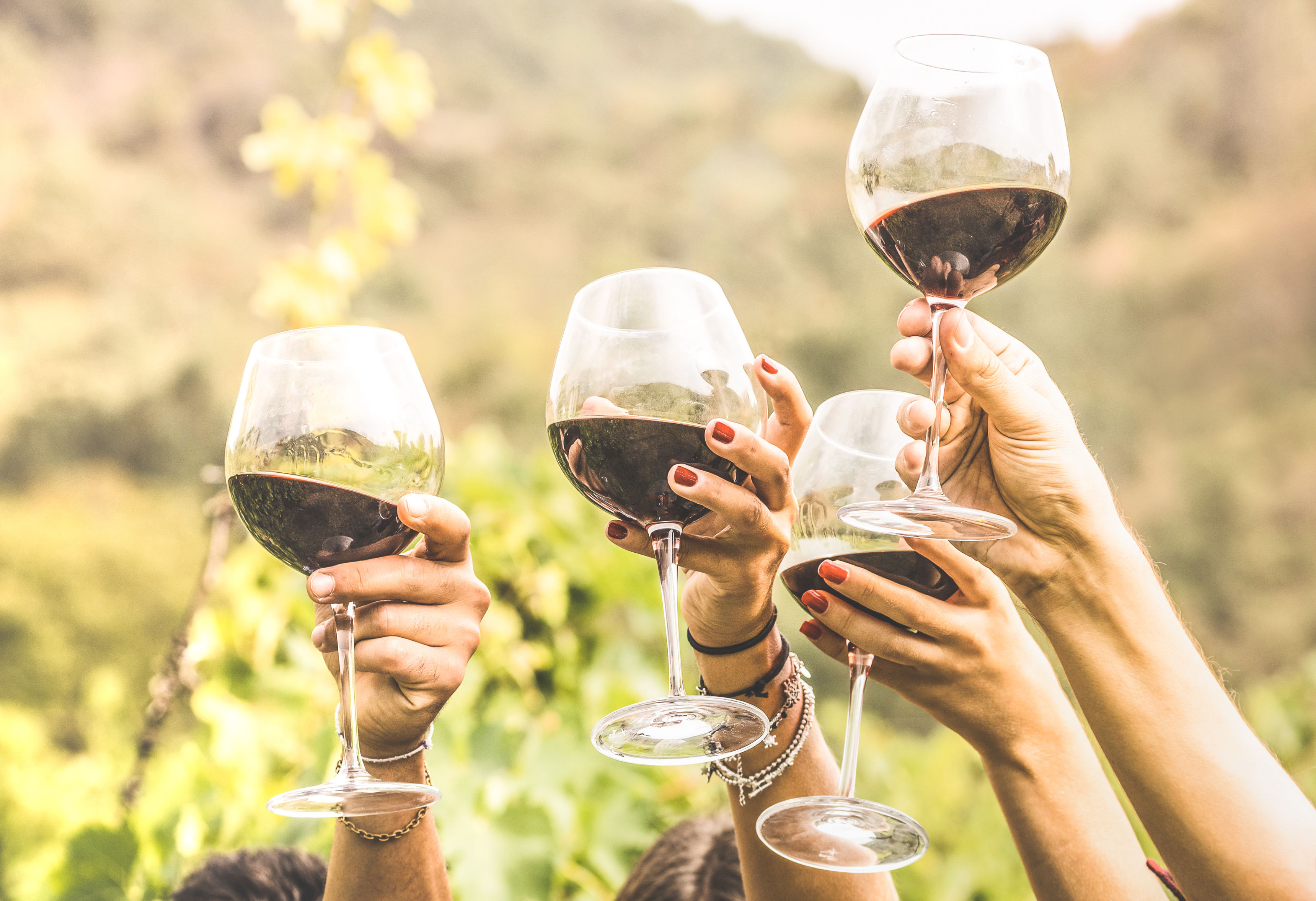 Young people celebrating together drinking red wine glasses on patio garden  at summer party. Diverse friends having fun cheering glasses during dinner  party. Friendship and celebration concept Stock Photo